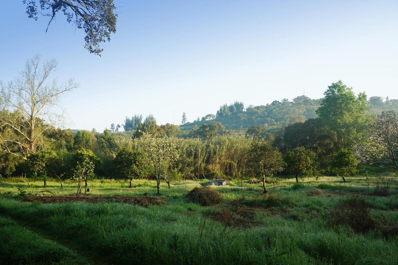 Apartmán Moba - Monte Do Barranquinho São Luis Exteriér fotografie
